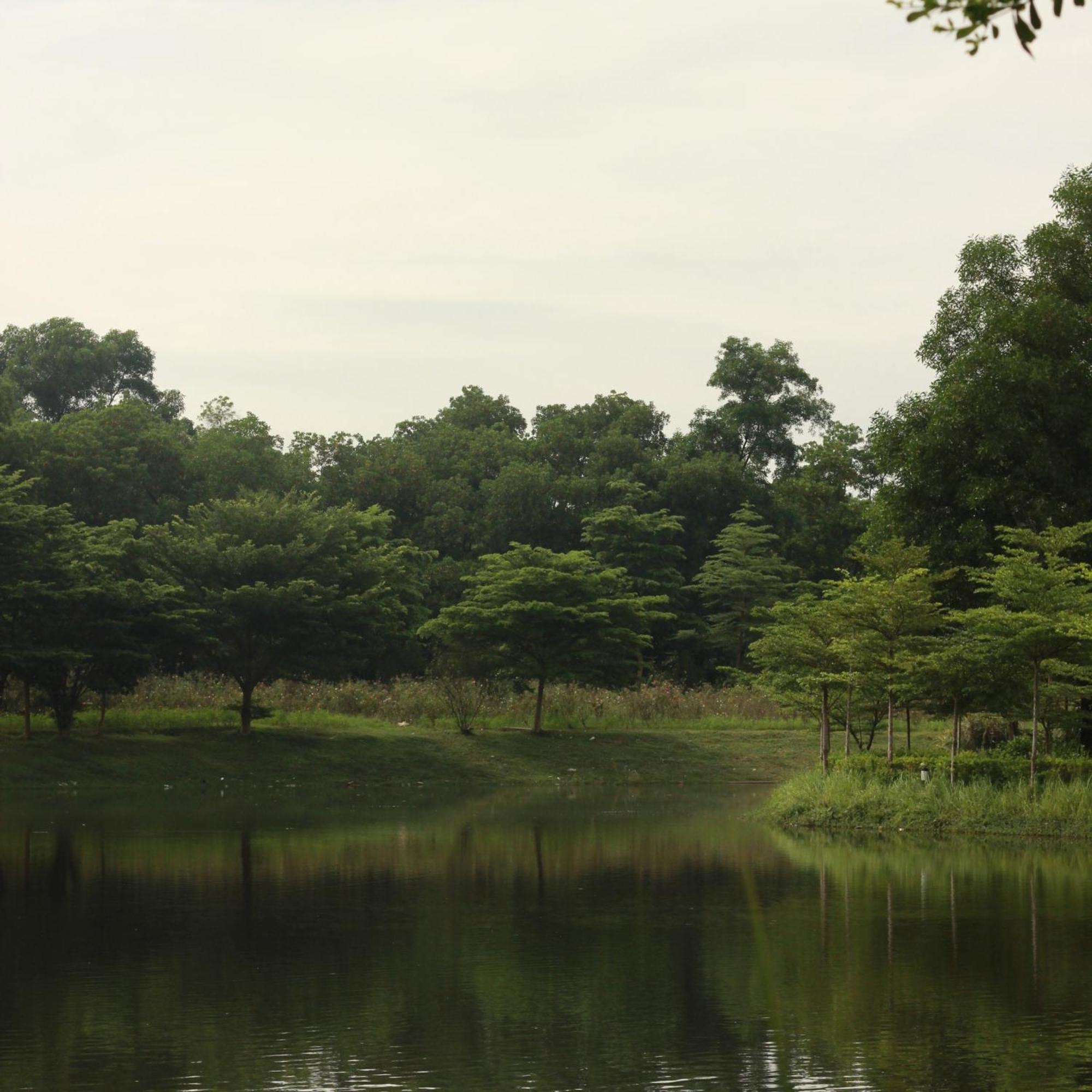 Rosee Villa - Green Villa With Private Pool ハノイ市 エクステリア 写真